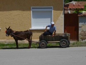 Our Carriage