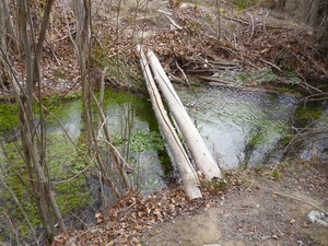 Stream with log bridge